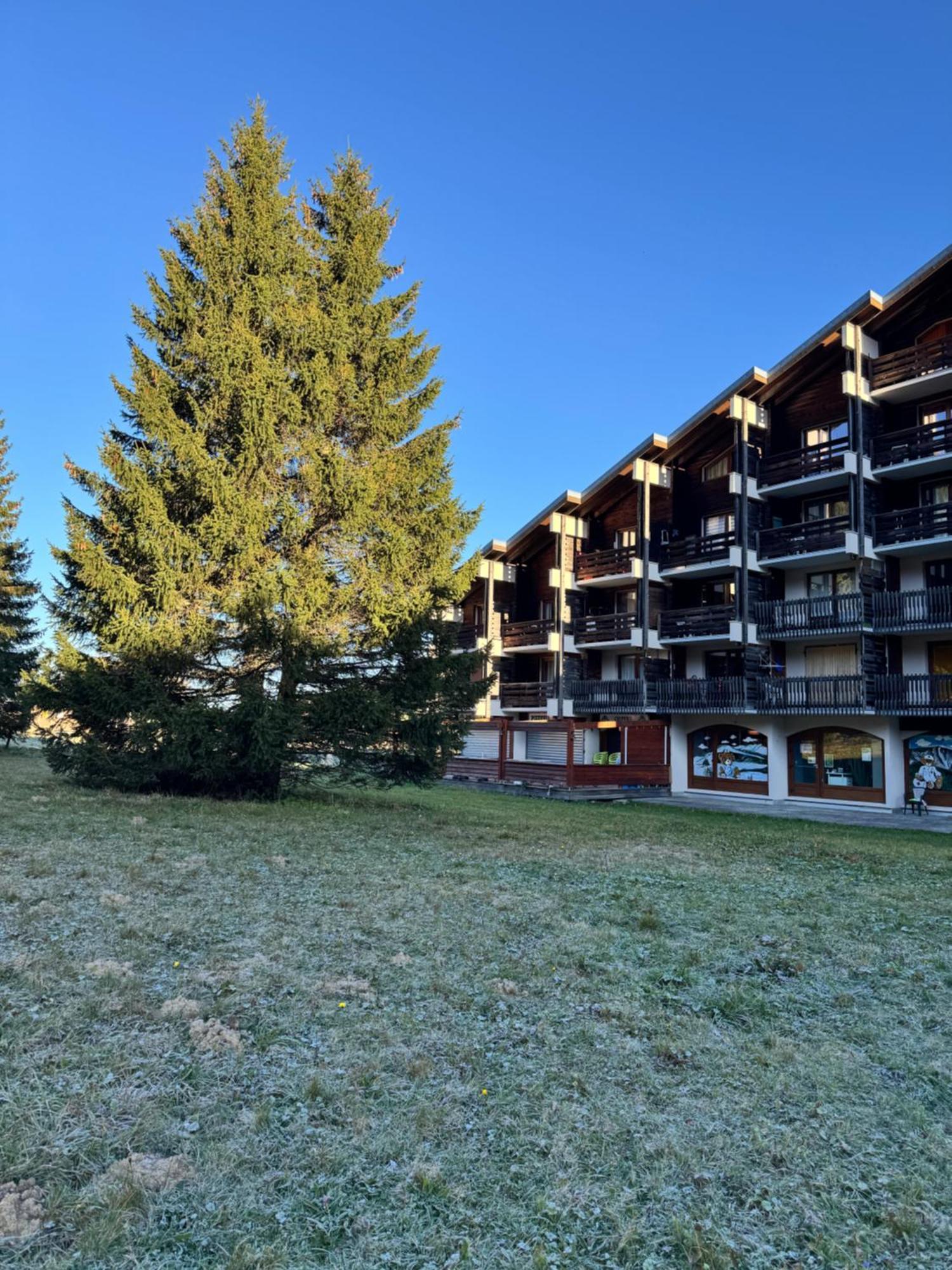 Superbe Studio De Montagne, Au Pied Des Pistes De Ski, Classe 3 Etoiles La Morte Bagian luar foto